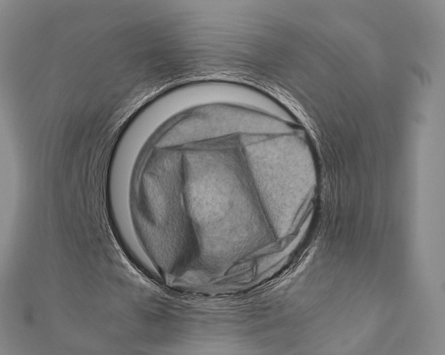 X0000112090577200909011106