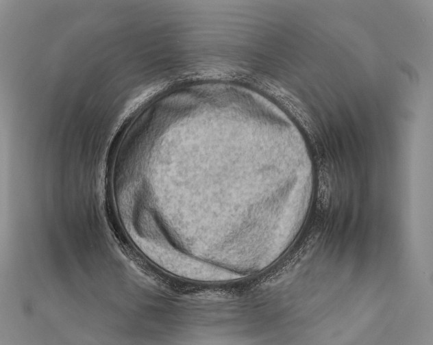 X0000112090578200909011106