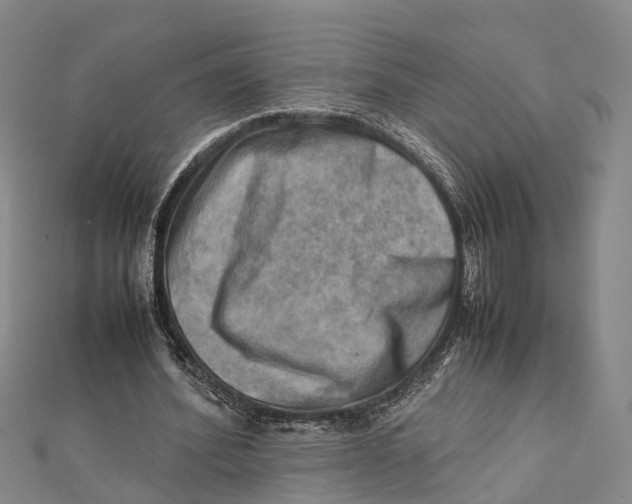 X0000112090580200909011106