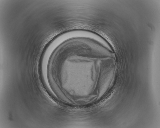 X0000112090581200909011106