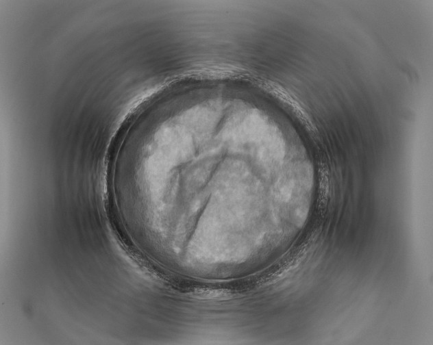 X0000112090582200909011106