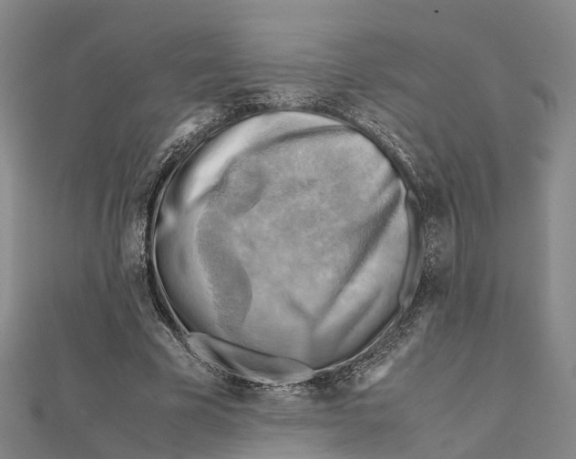 X0000112090585200909011106