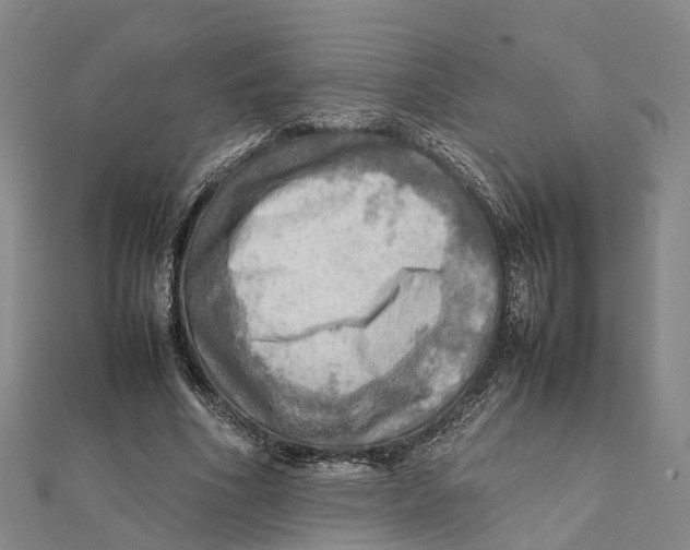 X0000112090586200909011106