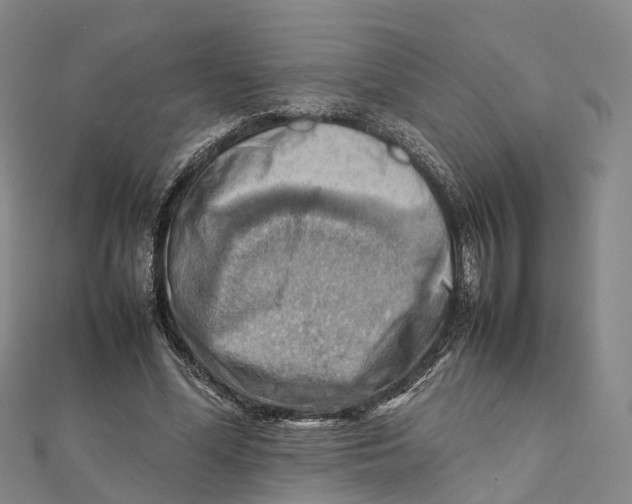 X0000112090588200909011106