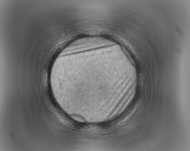 X0000112090589200909011106