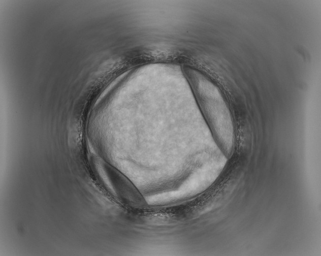 X0000112090593200909011106