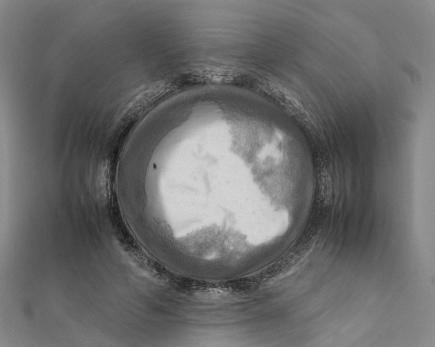 X0000112090594200909011106