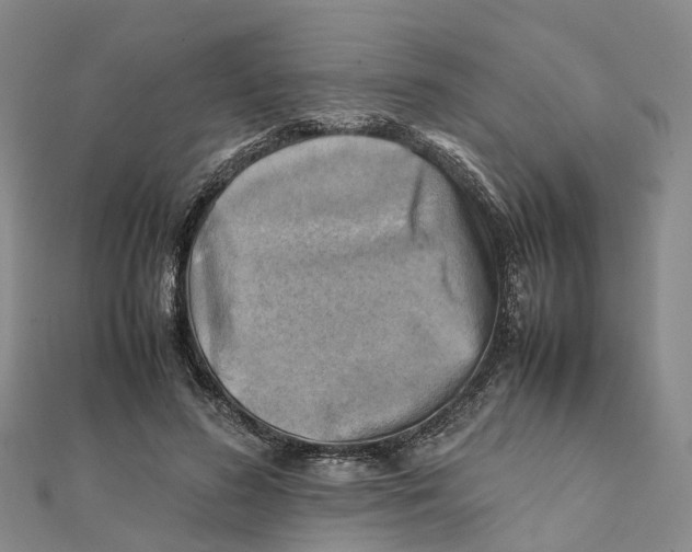 X0000112090596200909011106