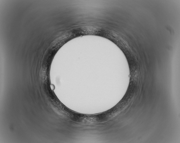 X0000112090599200909011106