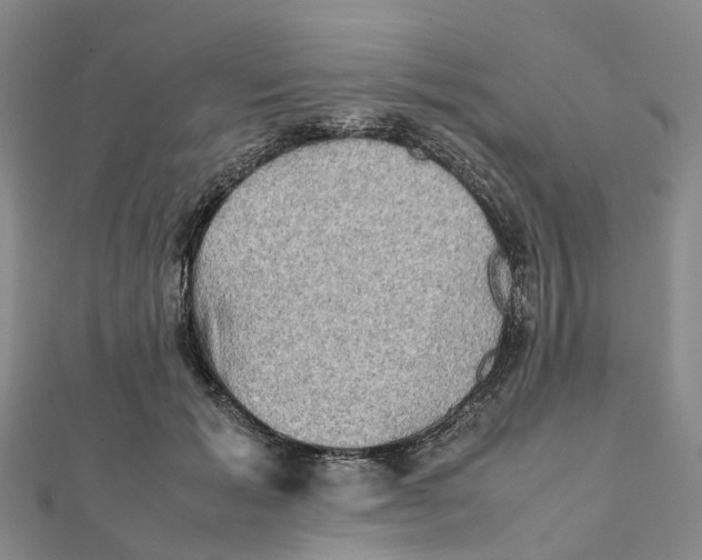 X0000112090605200909011106