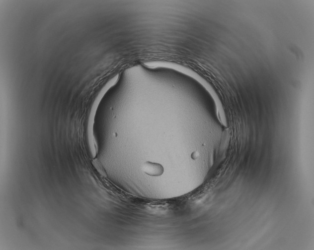 X0000112090606200909011106
