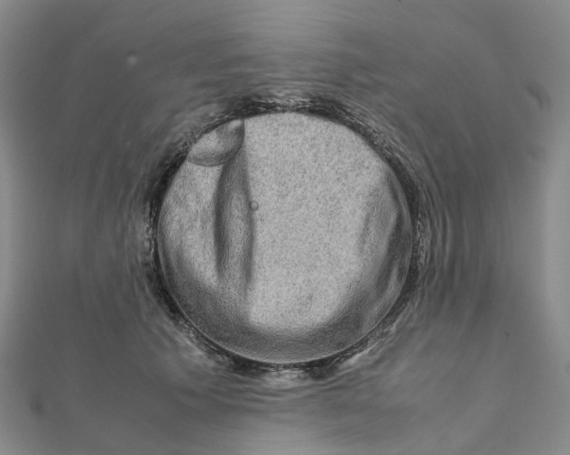 X0000112090609200909011106