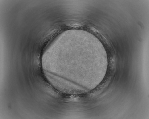 X0000112090612200909011106
