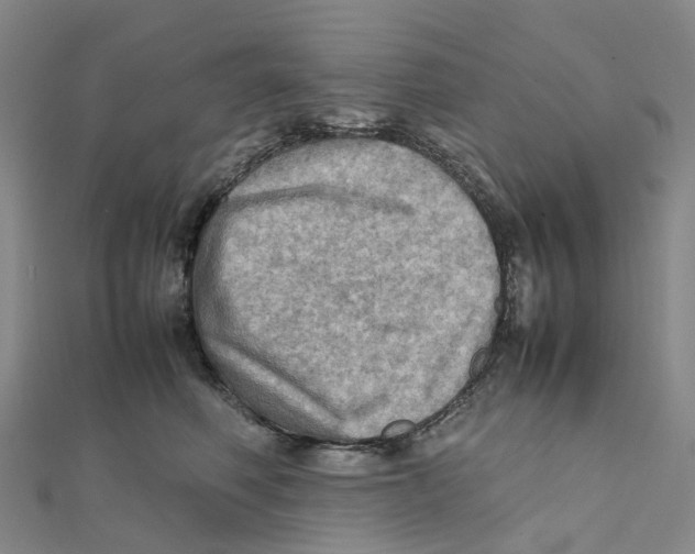 X0000112090614200909011106
