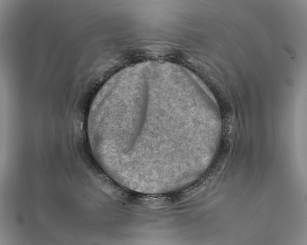 X0000112090615200909011106