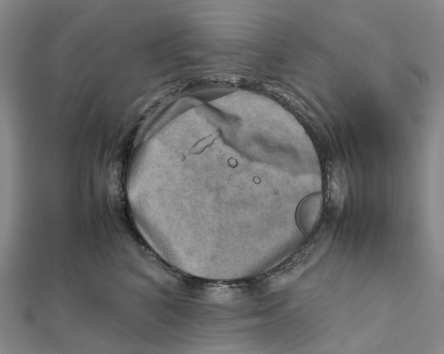 X0000112090616200909011105