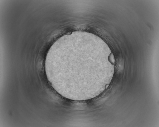 X0000112090619200909011105