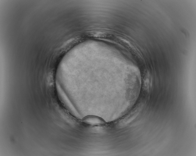 X0000112090620200909011105
