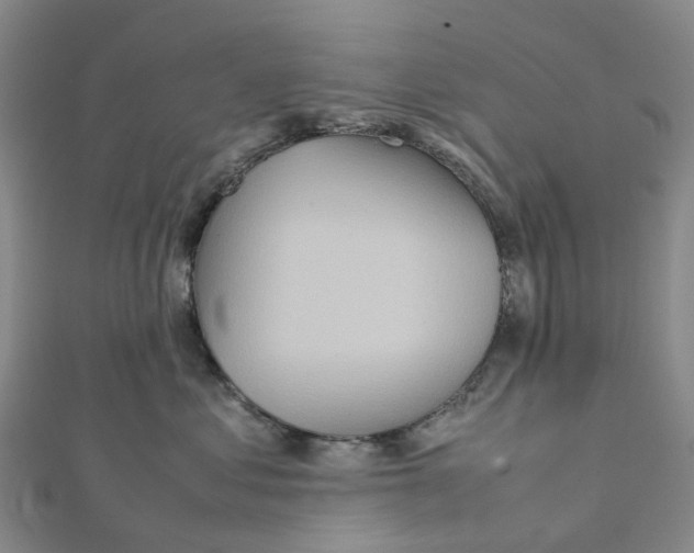 X0000112090621200909011105