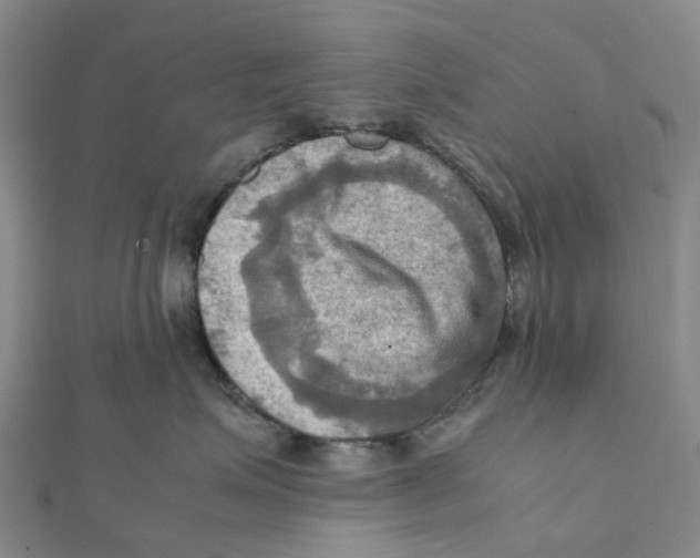 X0000112090623200909011105