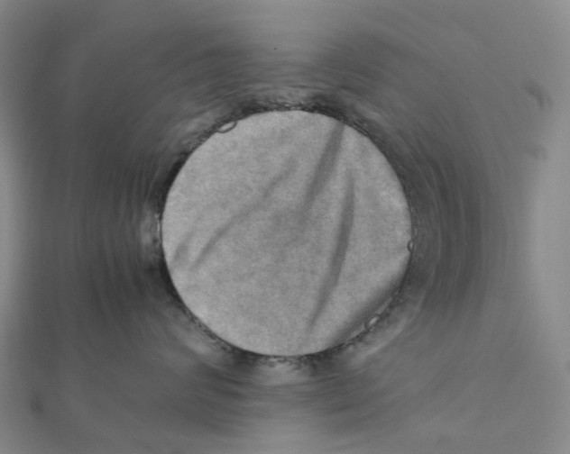 X0000112090624200909011105