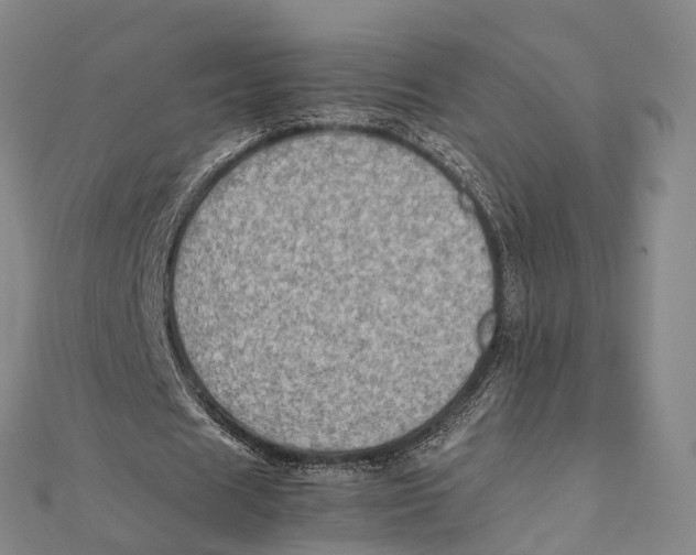 X0000112090625200909011105