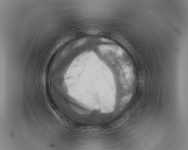 X0000112090626200909011105