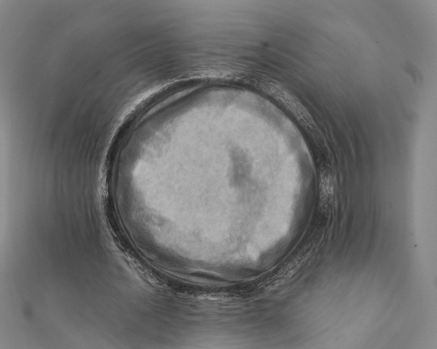 X0000112090628200909011105