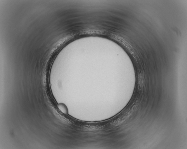 X0000112090629200909011105