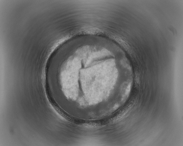 X0000112090630200909011105