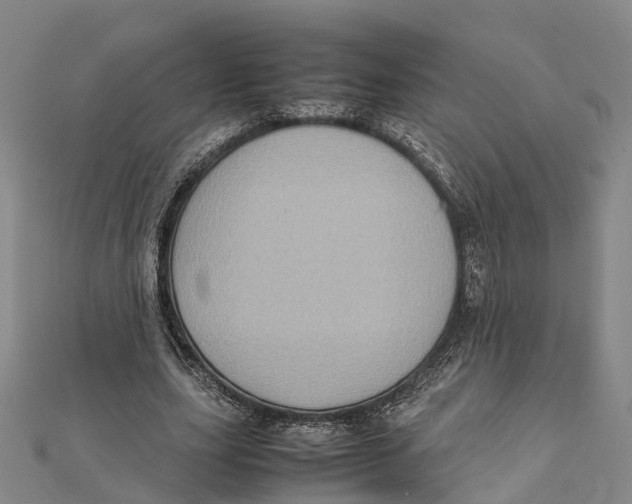 X0000112090631200909011105