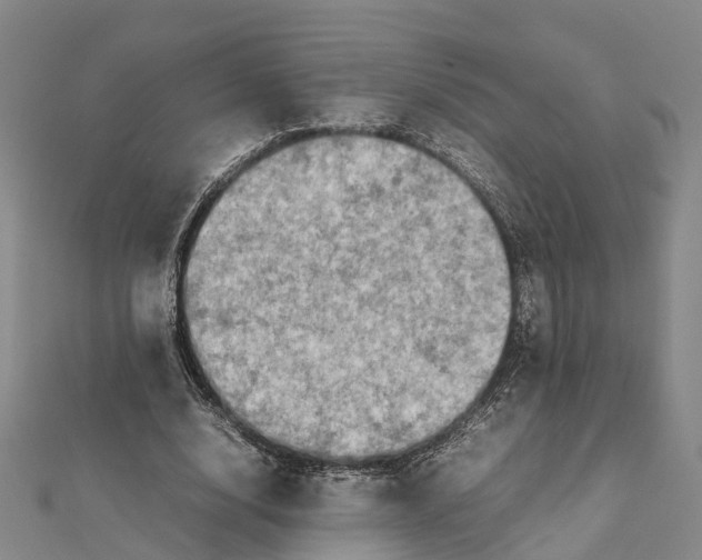 X0000112090632200909011105