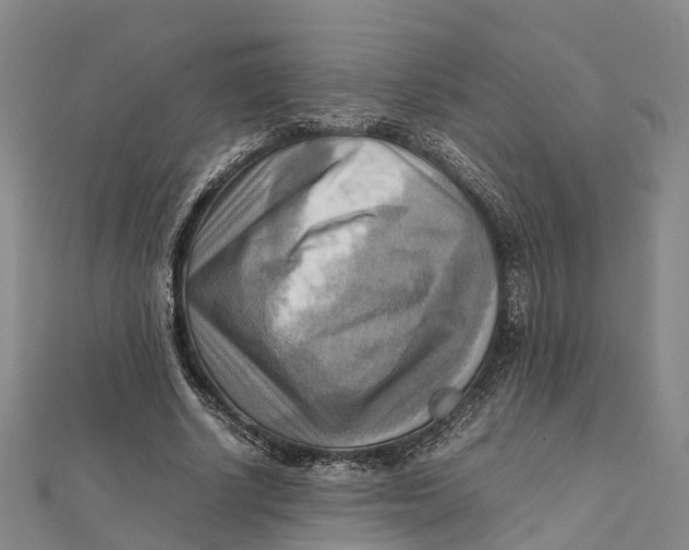 X0000112090634200909011105