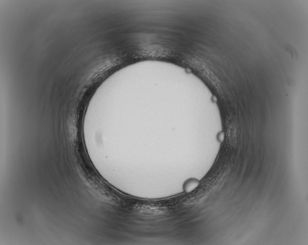 X0000112090635200909011105