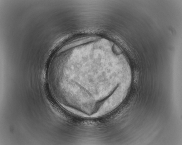 X0000112090636200909011105