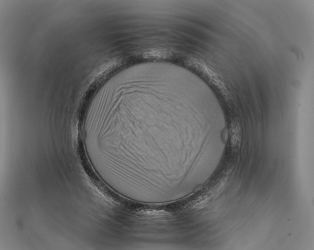 X0000112090637200909011105