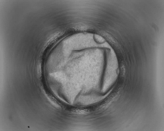 X0000112090638200909011105