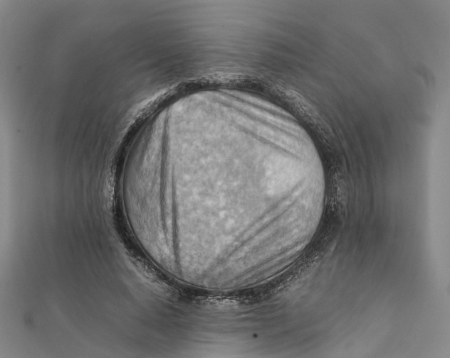 X0000112090640200909011105