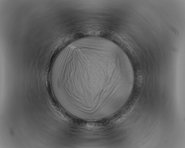 X0000112090641200909011105