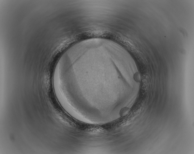 X0000112090642200909011105