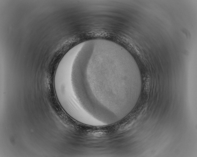 X0000112090643200909011105