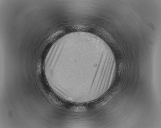 X0000112090644200909011105
