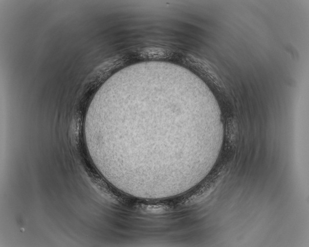 X0000112090645200909011105