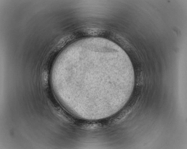 X0000112090646200909011105