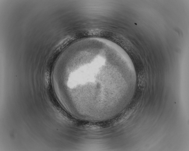 X0000112090648200909011105