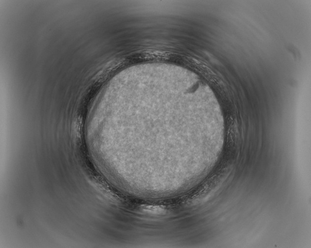 X0000112090649200909011105