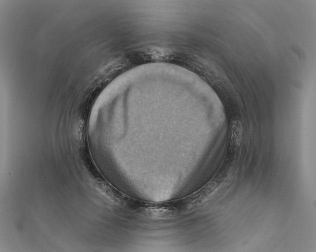 X0000112090650200909011105