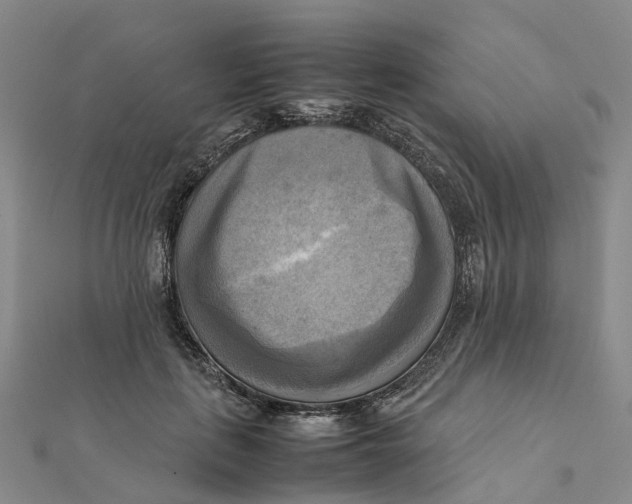 X0000112090651200909011105