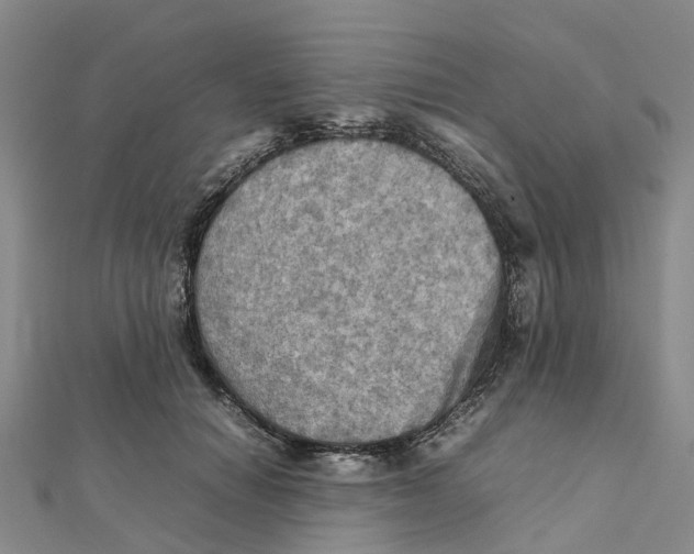 X0000112090654200909011105
