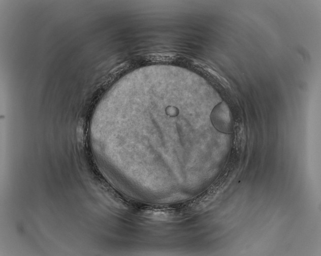 X0000112090655200909011105